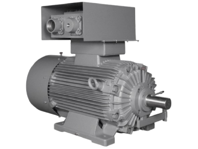 Explosion-Proof Motors